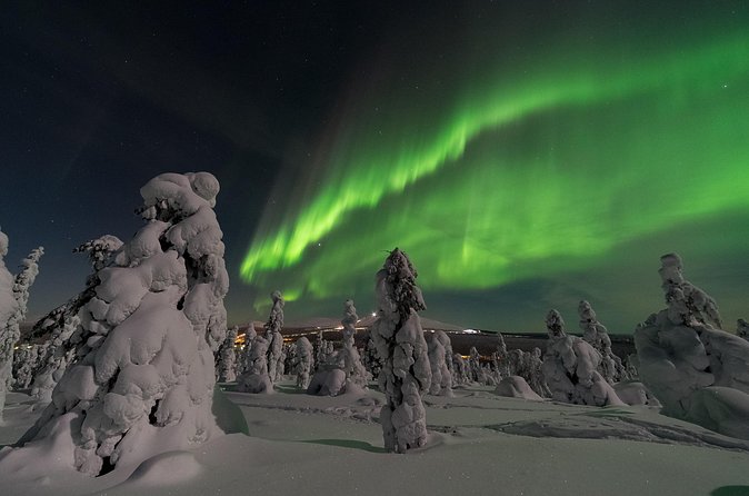 Ylläs: Guided Night Skiing Tour Under the Arctic Sky - Cold, fitness, and first-time ski concerns