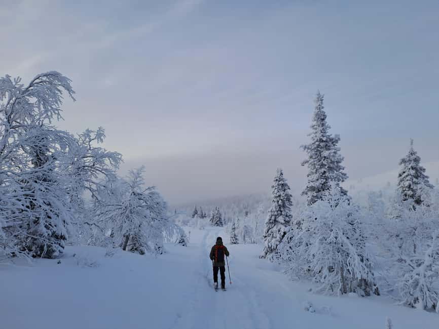 Ylläs: Guided Nordic Skiing Tour in Lapland Wilderness - Learning to Ski on Snowy Trails