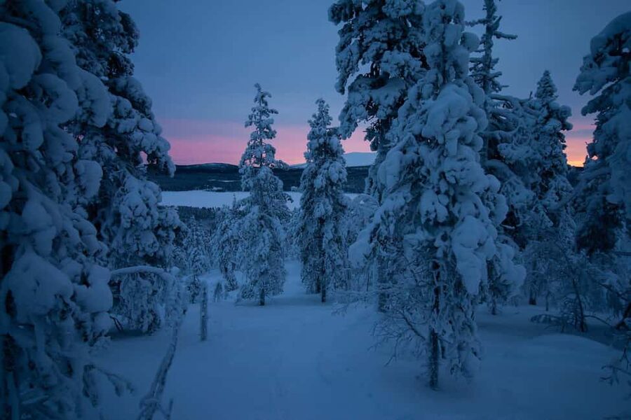 Ylläs: Guided Nordic Skiing Tour in Lapland Wilderness - A Campfire Break with Sausage and Hot Drinks