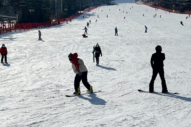 Yongpyong Ski Resort from Seoul with Optional Lesson and Packages - Practical details that affect the value
